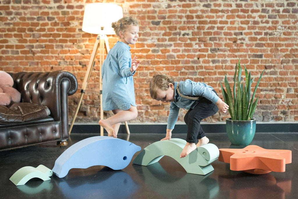Moes speelgoed toys play design dieren turtle starfish dolphin sealife