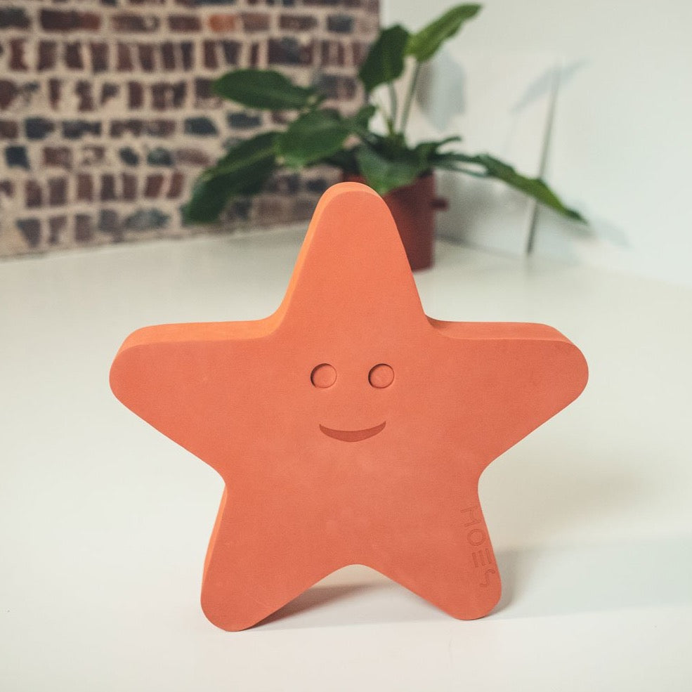 Starfish Moes speelgoed design zeester kinderen